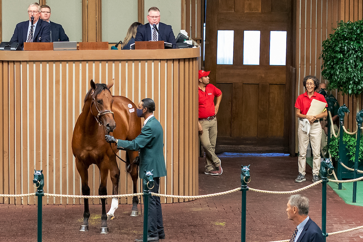 Keeneland September Sale