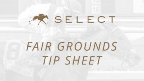 Fair Grounds Tip Sheet 