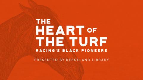 heart of the turf