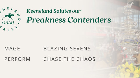 preakness