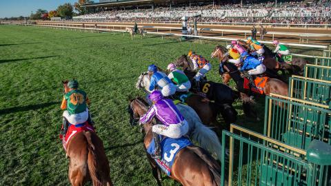 coolmore turf mile