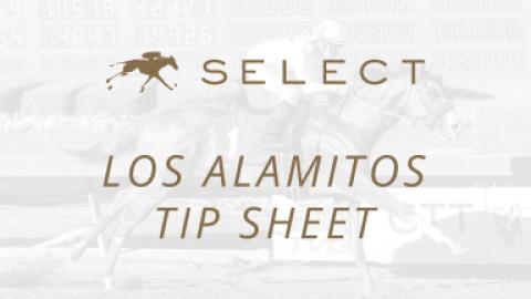 Los Alamitos Tip Sheet 