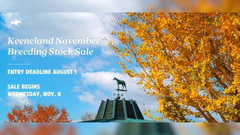 November Sale