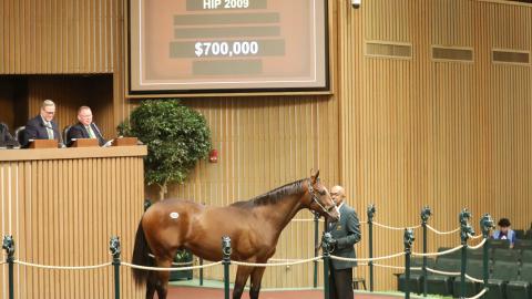 hip 2009