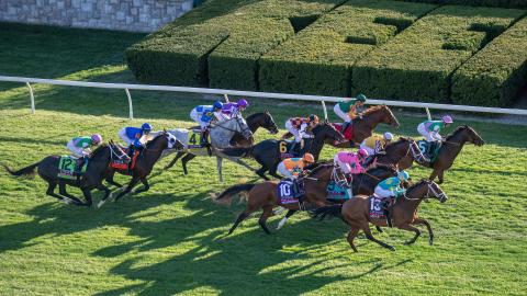 coolmore turf mile