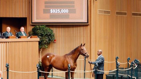 twirling candy colt