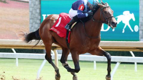 Brightwork running on the Keeneland Race Course