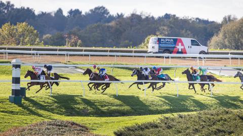 Horses racing in the QUEEN ELIZABETH II CHALLENGE CUP PRESENTED BY DIXIANA