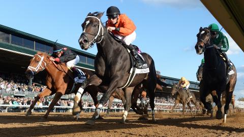 Horses racing in the LEXUS RAVEN RUN