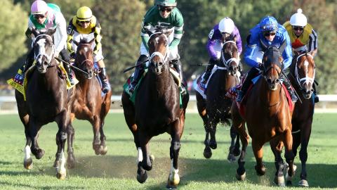 coolmore turf mile