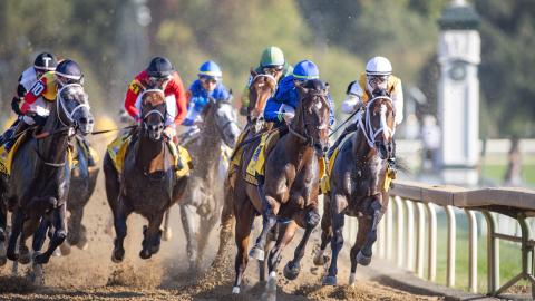 breeders futrity 