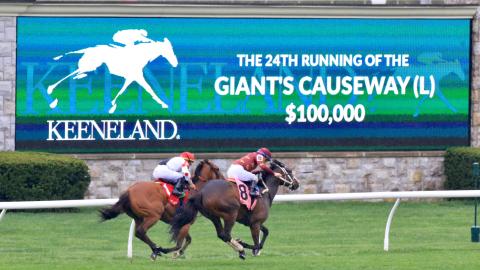 Giants Causeway