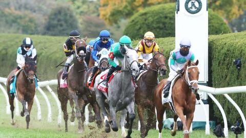 Queen Elizabeth II Challenge Cup (G1) runner up