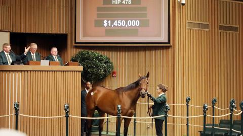 Hip 478