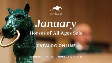 January Sale