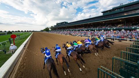 horses racing