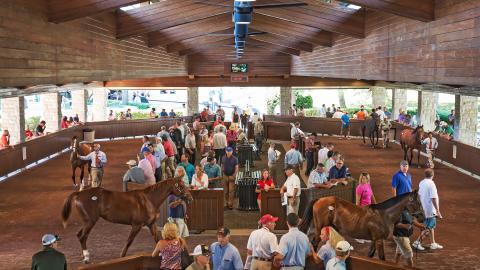 Keeneland September sale