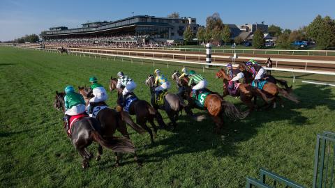 Eleven Fillies in Queen Elizabeth II