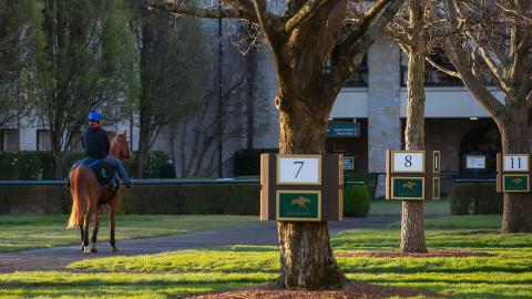 Keeneland Paddock