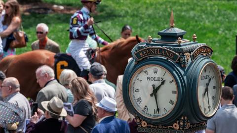 Spring Paddock