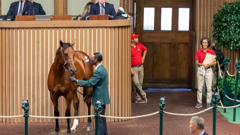 Keeneland September Sale