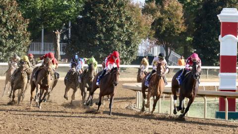 horses racing