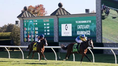 horses racing