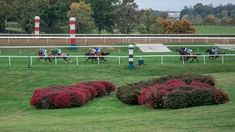 Keeneland Turf