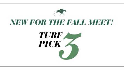 Turf Pick 3