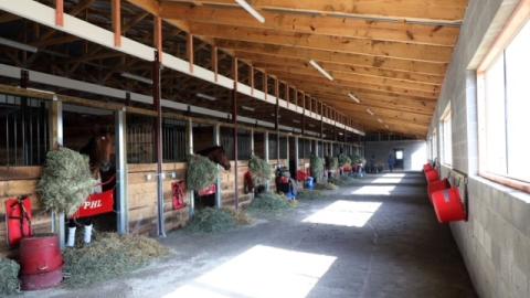 The Thoroughbred Center barn